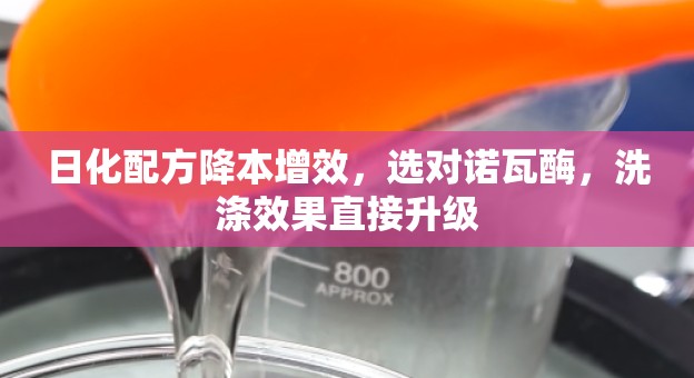 日化配方降本增效，选对诺瓦酶，洗涤效果直接升级