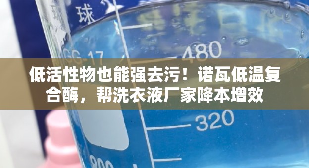 低活性物也能强去污！诺瓦低温复合酶，帮洗衣液厂家降本增效