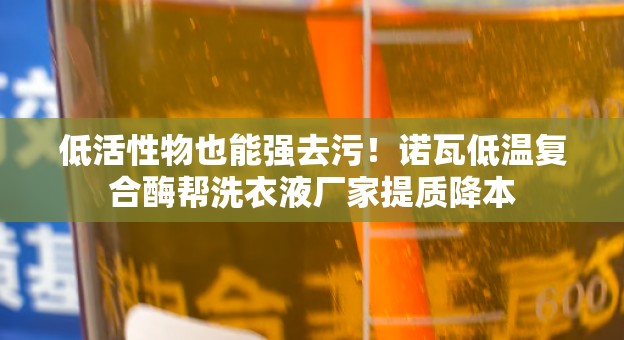 低活性物也能强去污！诺瓦低温复合酶帮洗衣液厂家提质降本