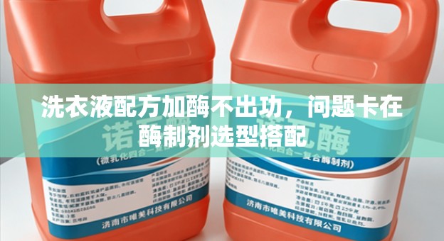 洗衣液配方加酶不出功，问题卡在酶制剂选型搭配