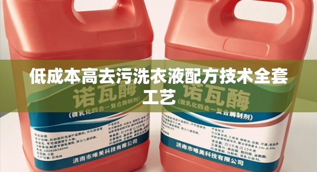 低成本高去污洗衣液配方技术全套工艺