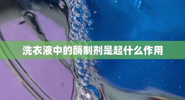 洗衣液中的酶制剂是起什么作用