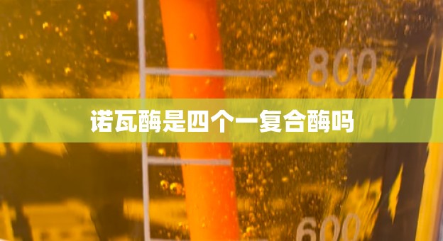 诺瓦酶是四个一复合酶吗