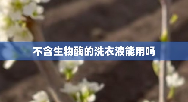 不含生物酶的洗衣液能用吗