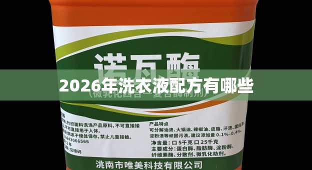 2026年洗衣液配方有哪些