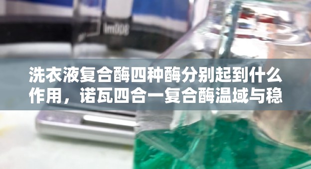 洗衣液复合酶四种酶分别起到什么作用，诺瓦四合一复合酶温域与稳定性介绍
