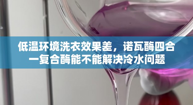 低温环境洗衣效果差，诺瓦酶四合一复合酶能不能解决冷水问题