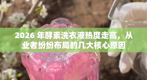 2026 年酵素洗衣液热度走高，从业者纷纷布局的几大核心原因