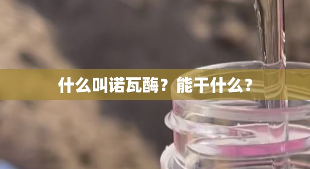 什么叫诺瓦酶？能干什么？