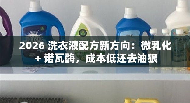 2026 洗衣液配方新方向：微乳化 + 诺瓦酶，成本低还去油狠