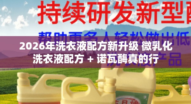 2026年洗衣液配方新升级 微乳化洗衣液配方 + 诺瓦酶真的行