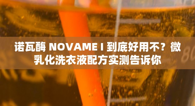 诺瓦酶 NOVAME I 到底好用不？微乳化洗衣液配方实测告诉你
