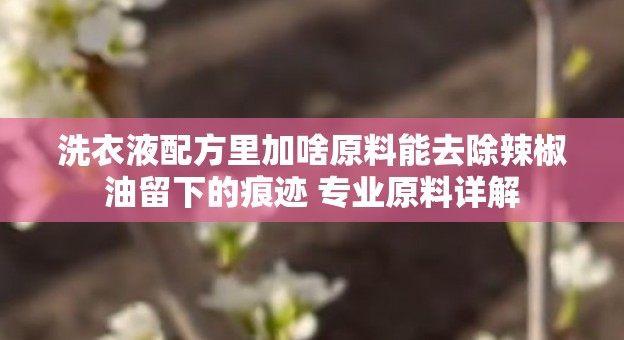 洗衣液配方里加啥原料能去除辣椒油留下的痕迹 专业原料详解