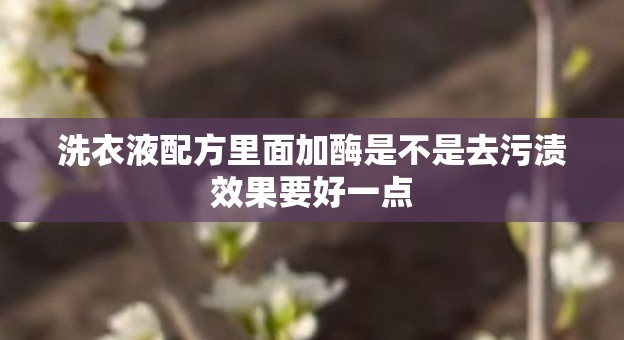 洗衣液配方里面加酶是不是去污渍效果要好一点