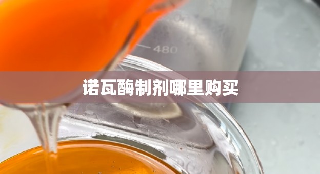 诺瓦酶制剂哪里购买
