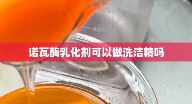 诺瓦酶乳化剂可以做洗洁精吗