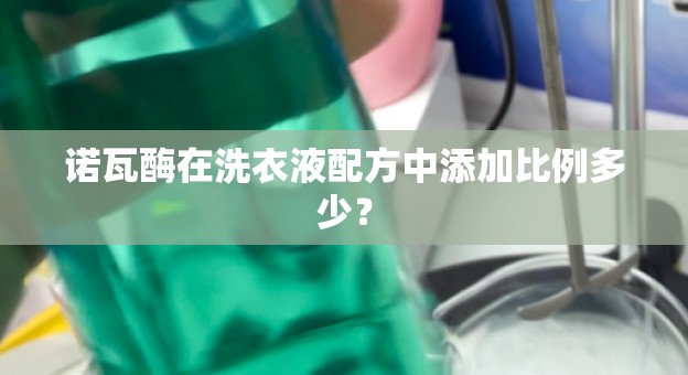诺瓦酶在洗衣液配方中添加比例多少？