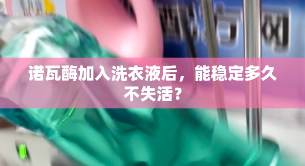 诺瓦酶加入洗衣液后，能稳定多久不失活？