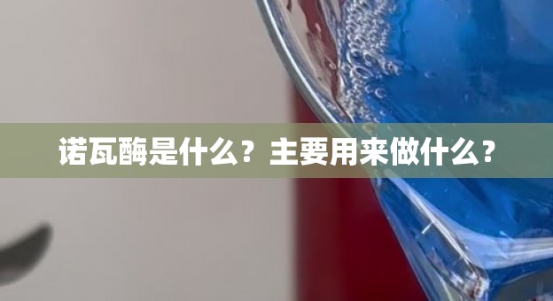 诺瓦酶是什么？主要用来做什么？