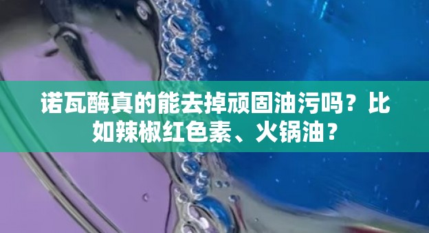 诺瓦酶真的能去掉顽固油污吗？比如辣椒红色素、火锅油？