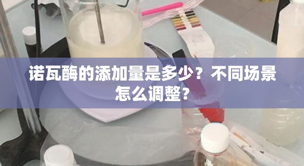 诺瓦酶的添加量是多少？不同场景怎么调整？