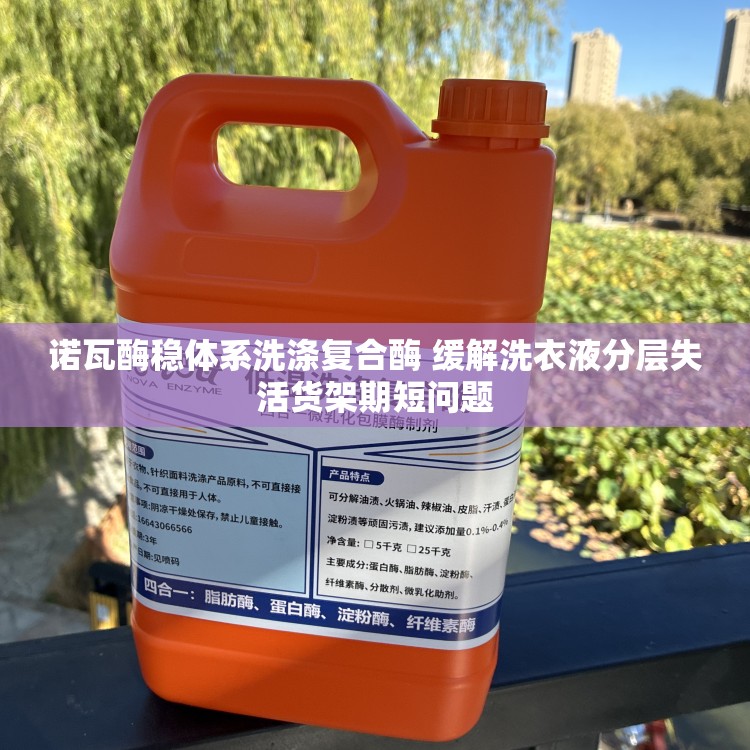 诺瓦酶稳体系洗涤复合酶 缓解洗衣液分层失活货架期短问题