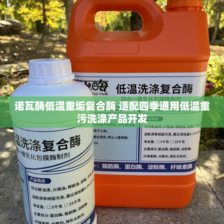 诺瓦酶低温重垢复合酶 适配四季通用低温重污洗涤产品开发