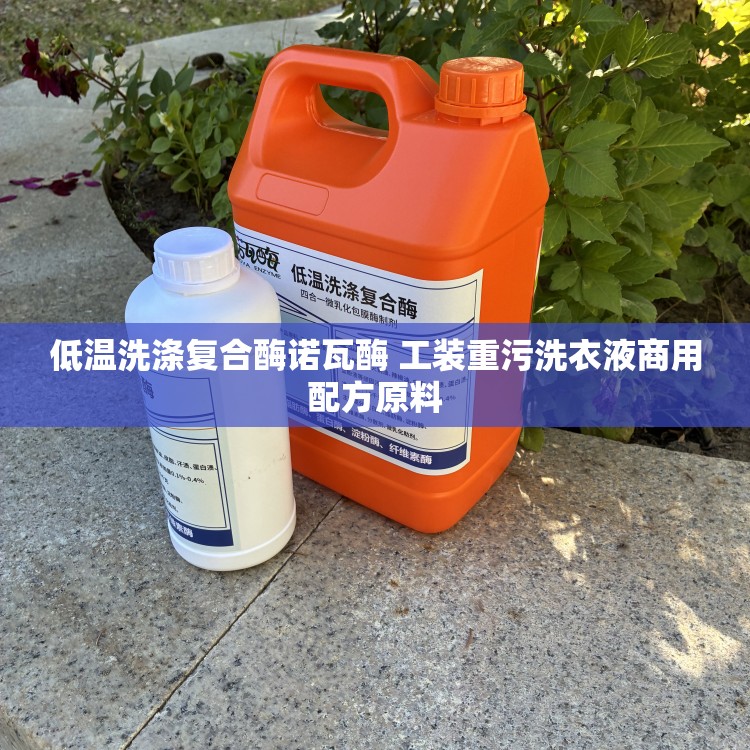 低温洗涤复合酶诺瓦酶 工装重污洗衣液商用配方原料
