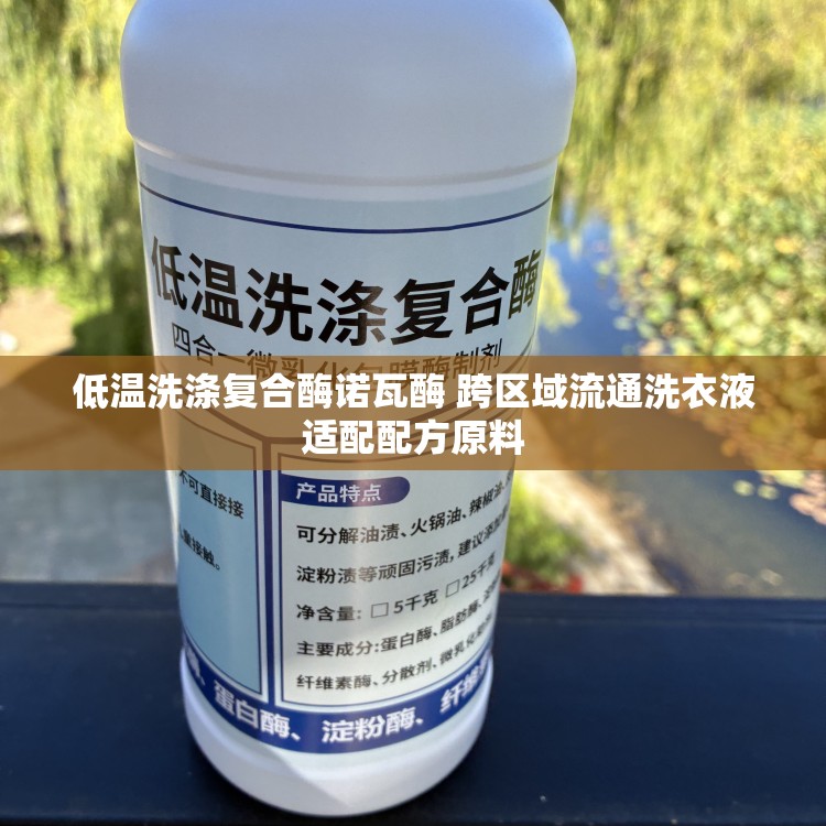 低温洗涤复合酶诺瓦酶 跨区域流通洗衣液适配配方原料