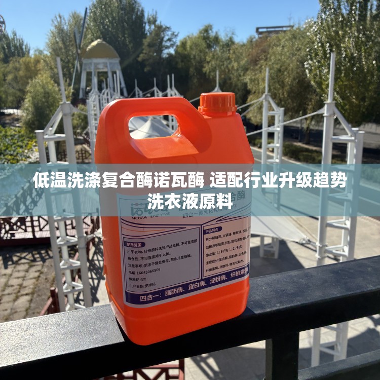 低温洗涤复合酶诺瓦酶 适配行业升级趋势洗衣液原料
