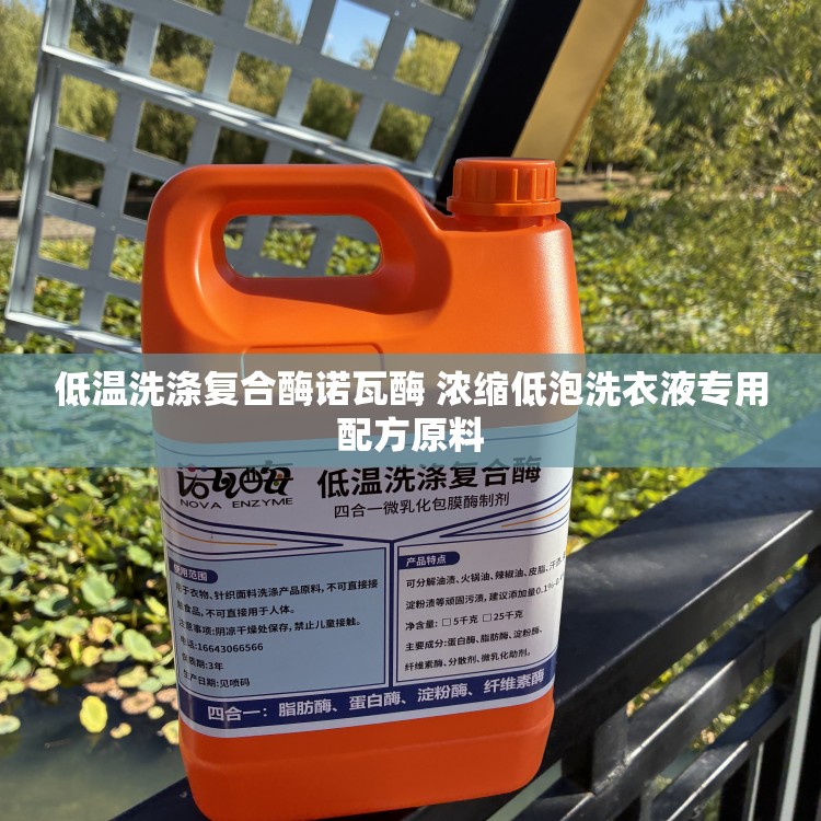 低温洗涤复合酶诺瓦酶 浓缩低泡洗衣液专用配方原料