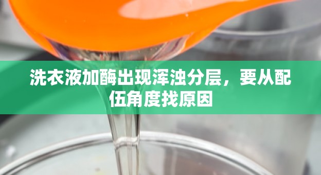 洗衣液加酶出现浑浊分层，要从配伍角度找原因