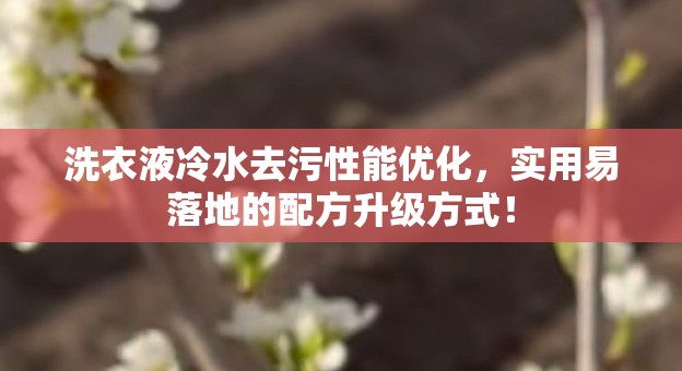 洗衣液冷水去污性能优化，实用易落地的配方升级方式！