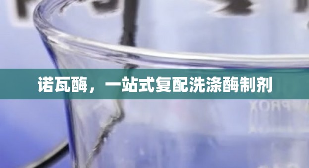 诺瓦酶，一站式复配洗涤酶制剂