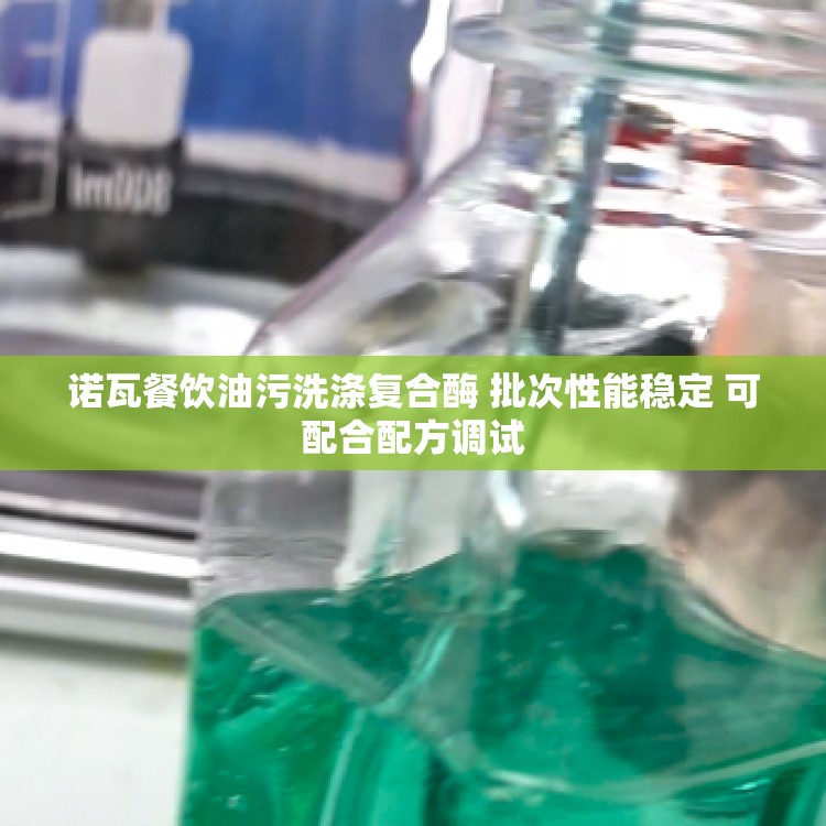 诺瓦餐饮油污洗涤复合酶 批次性能稳定 可配合配方调试
