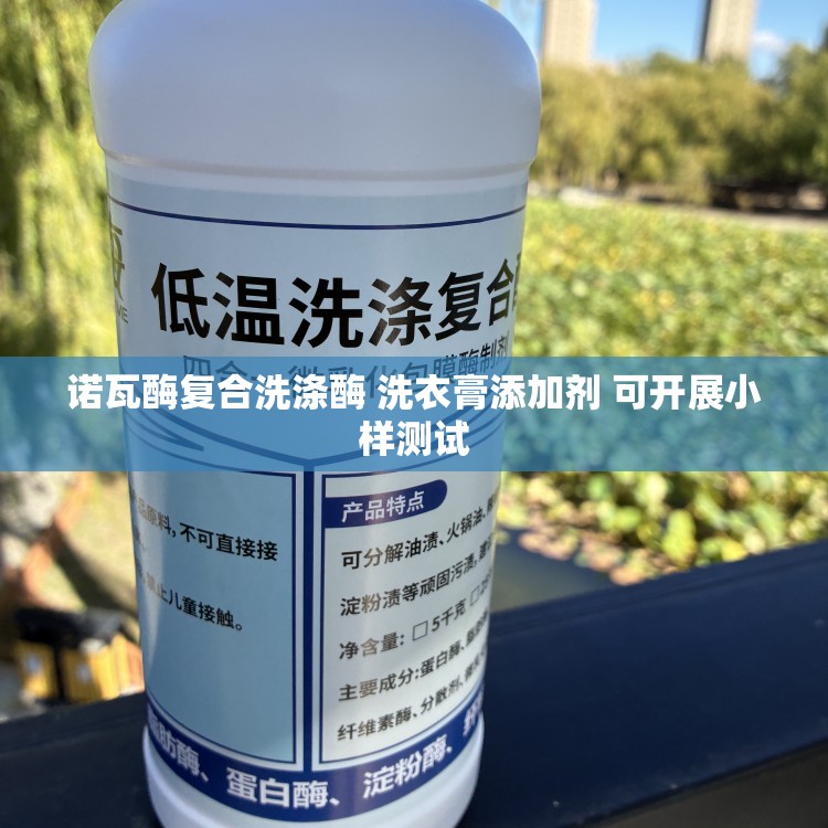 诺瓦酶复合洗涤酶 洗衣膏添加剂 可开展小样测试