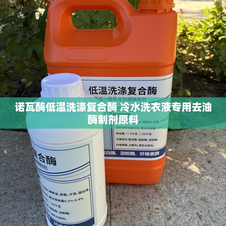 诺瓦酶低温洗涤复合酶 冷水洗衣液专用去油酶制剂原料