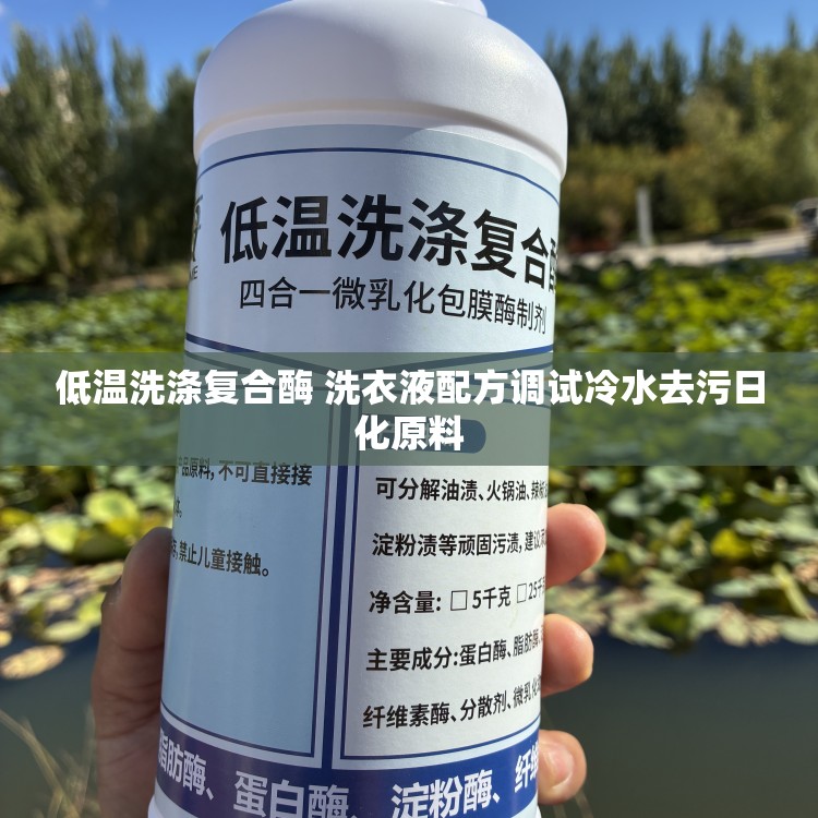 低温洗涤复合酶 洗衣液配方调试冷水去污日化原料