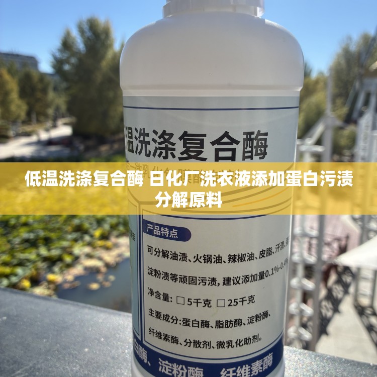 低温洗涤复合酶 日化厂洗衣液添加蛋白污渍分解原料