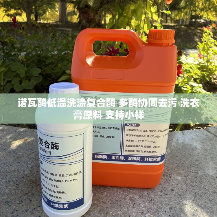 诺瓦酶低温洗涤复合酶 多酶协同去污 洗衣膏原料 支持小样