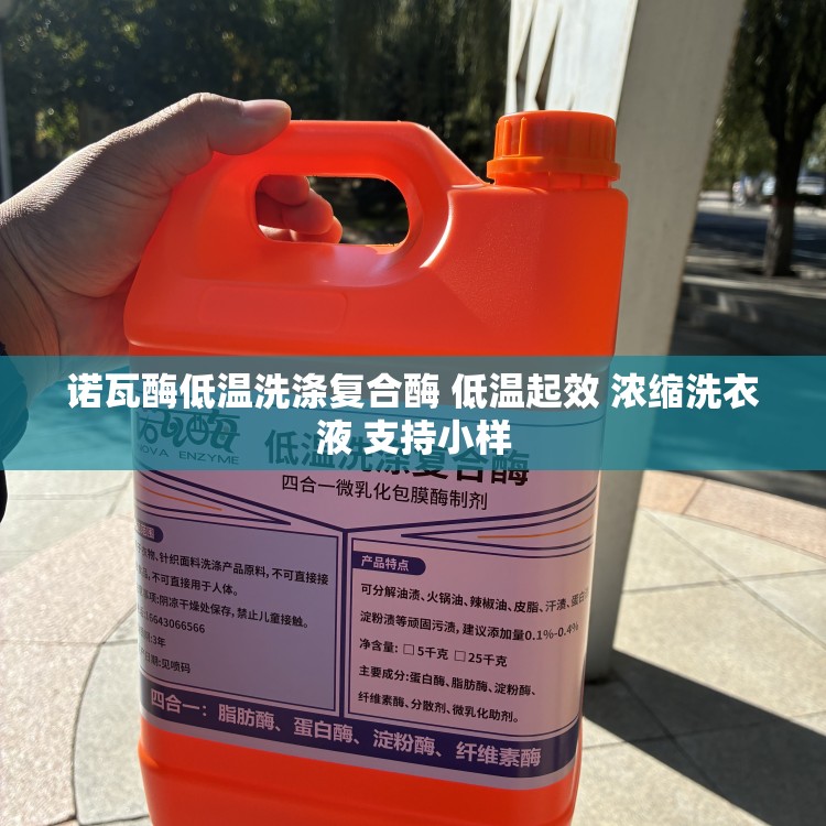 诺瓦酶低温洗涤复合酶 低温起效 浓缩洗衣液 支持小样