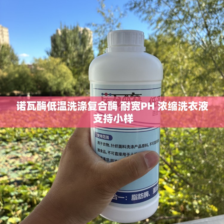 诺瓦酶低温洗涤复合酶 耐宽PH 浓缩洗衣液 支持小样