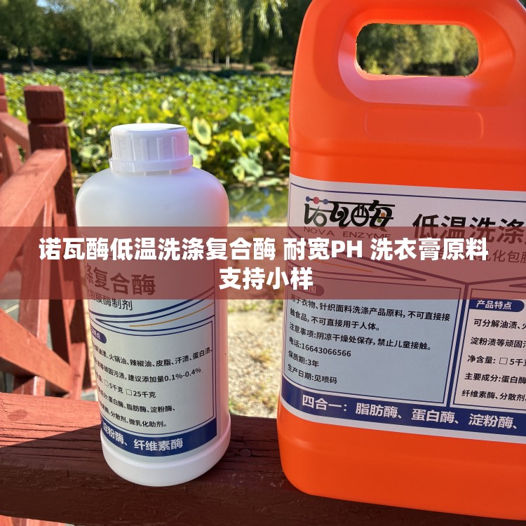 诺瓦酶低温洗涤复合酶 耐宽PH 洗衣膏原料 支持小样
