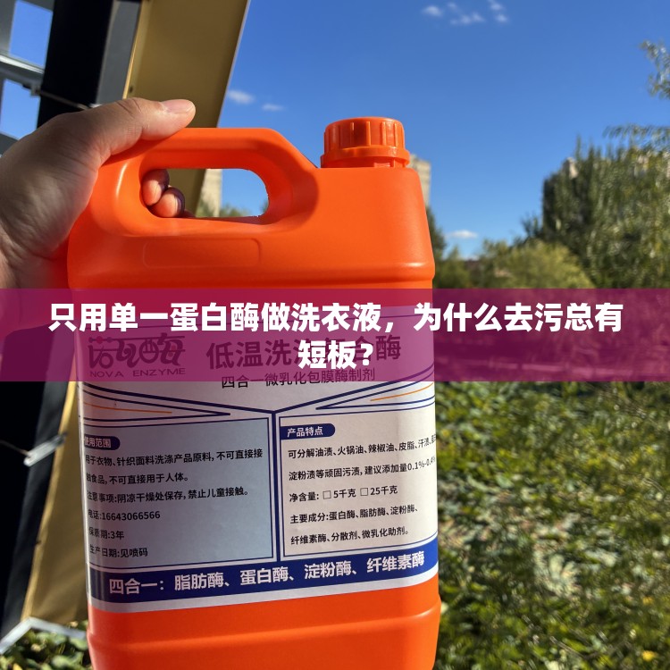 只用单一蛋白酶做洗衣液，为什么去污总有短板？