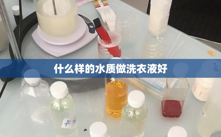 什么样的水质做洗衣液好