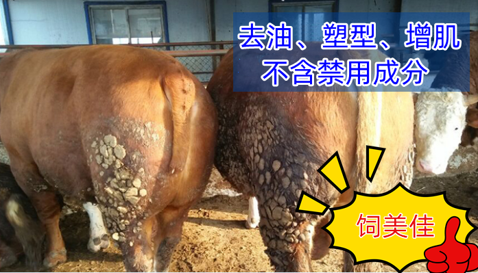 肉牛催肥剂去油催肥转肌 牛催肥饲料添加剂