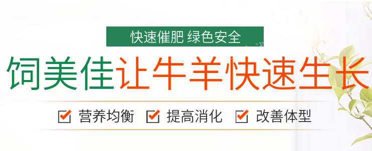 牛催肥饲料添加剂有哪些？肉牛增重催肥剂