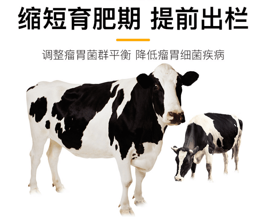 牛催肥饲料添加剂有哪些？肉牛增重催肥剂