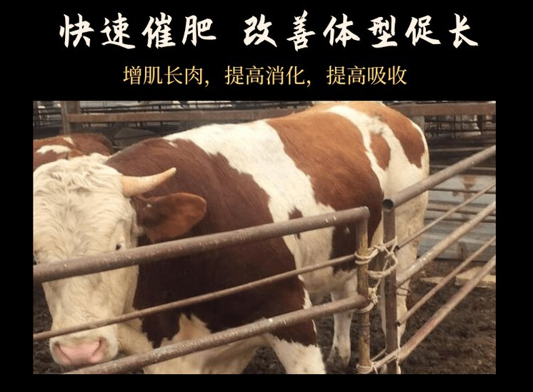 牛羊去油长肉添加剂用那种好？