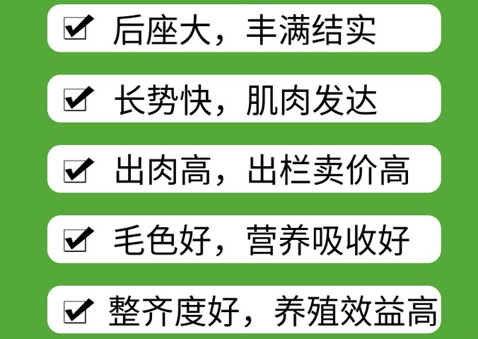 羊用催肥激素药有哪些？